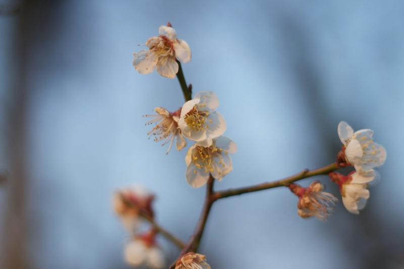 「月份英文」完全圖解:12 個英文月份縮寫、日期寫法與常見錯誤一次搞懂 (3)