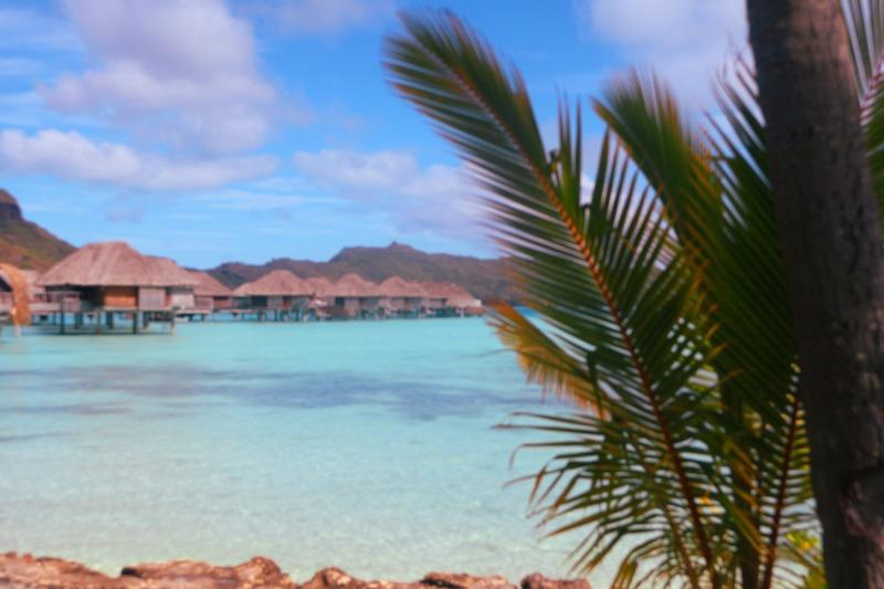 「月份英文」完全圖解:12 個英文月份縮寫、日期寫法與常見錯誤一次搞懂 (6)