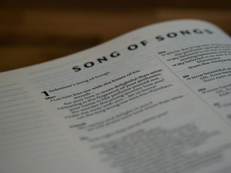 2025成長必聽：七大經典兒童英文歌全攻略｜分齡學習、親子教學法、語感啟蒙一次搞懂 (7)