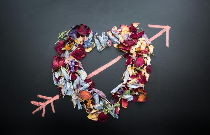 2026 Happy V Day 是什麼？英文用法與5大迷思全解析 (2)