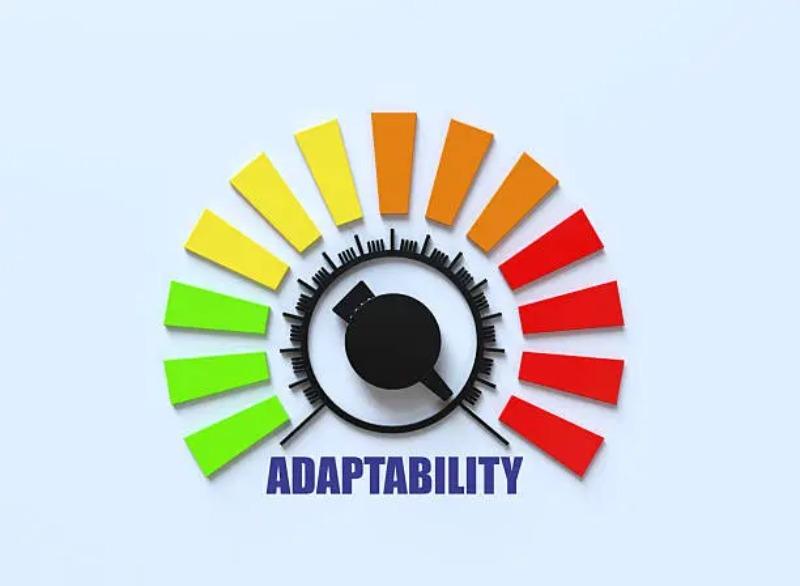 Get Used To 用法完整解析：5 大錯誤習慣一次修正，英文使用不再出錯 (4)