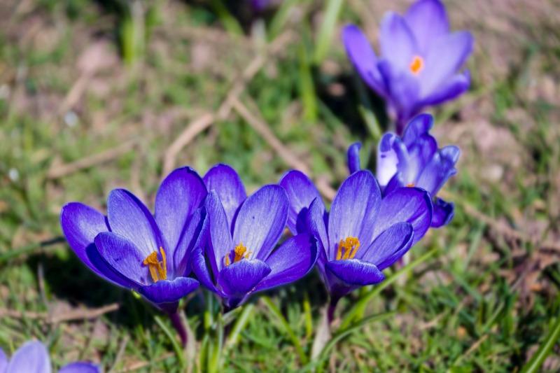 2026 英文 Vs 用法權威指南:vs.、vs、v.、v.s. 全面解析與最完整誤用避雷大全 (1)