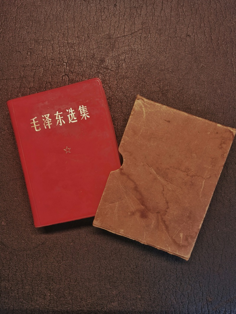 2026年最新版｜張拼音護照填寫全攻略：5大地雷、官方查詢法與一致性自檢表一次搞懂 (3)