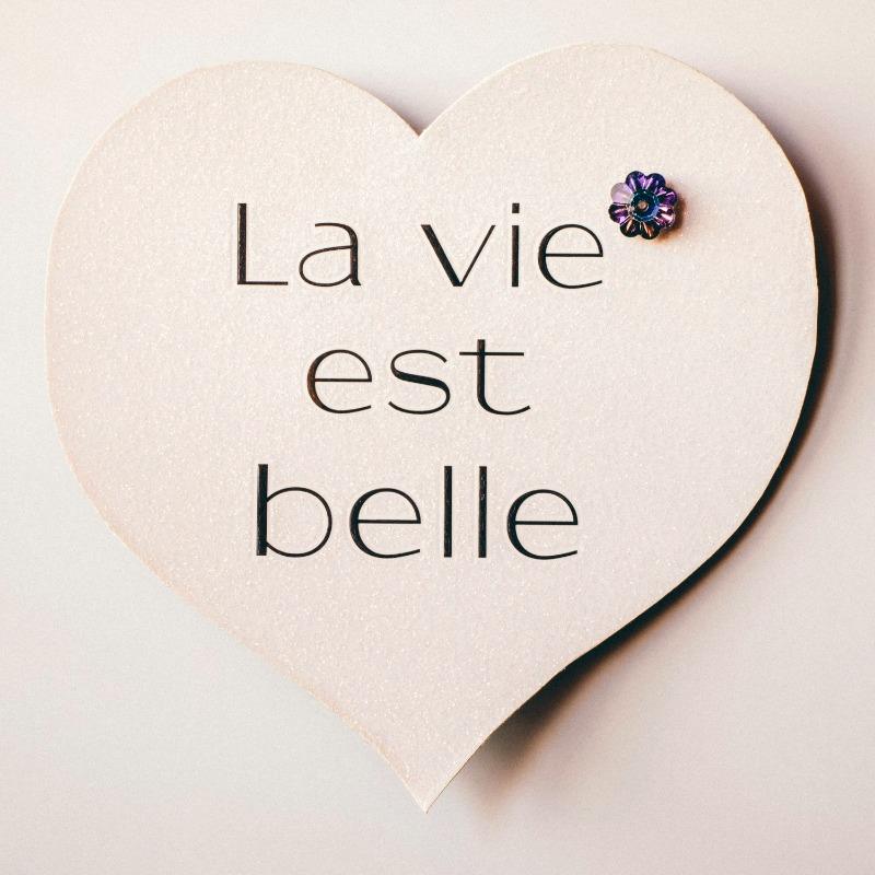 2026 愛情英文短句風潮解析：五句極簡浪漫，讓心動更精準 (7)