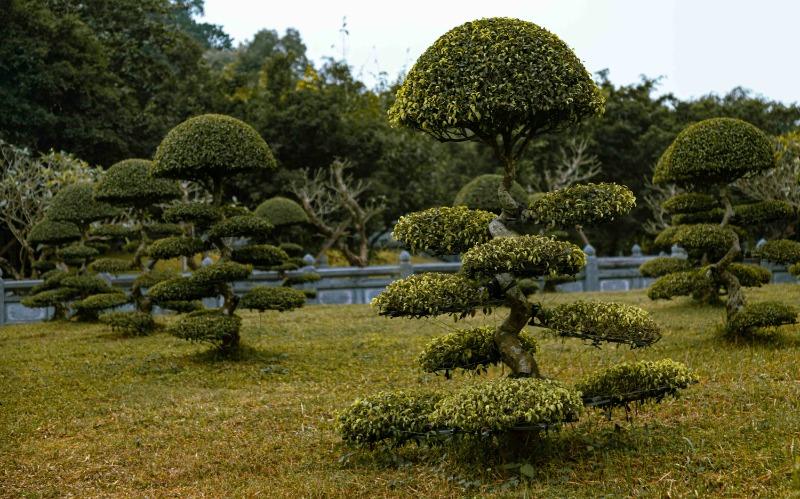 自然景觀英文不會用?6個容易搞錯的自然景觀英文單字與用法全解析 (1)