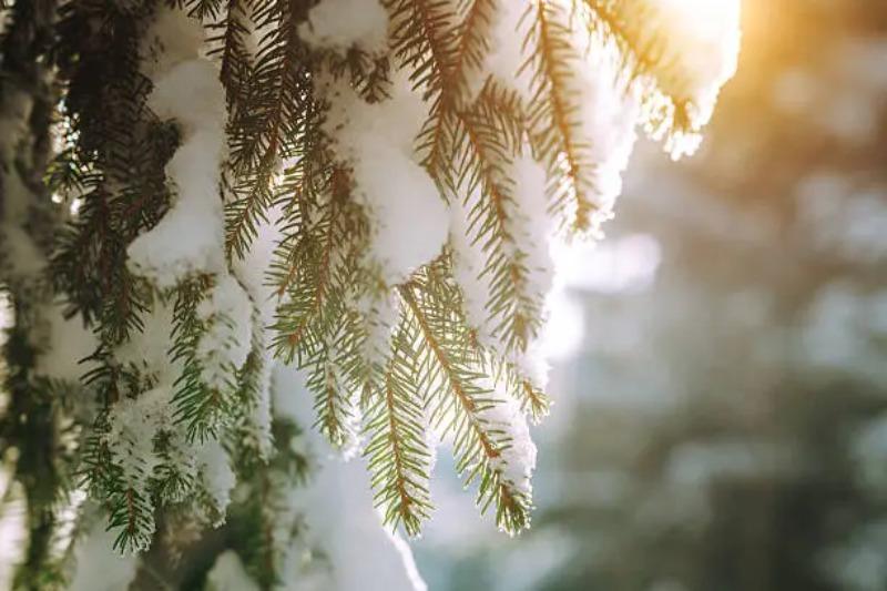 冷氣團英文怎麼說？5種情境教你正確用法，別再說錯了！ (2)