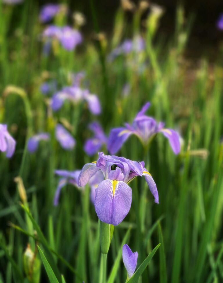 三峽英文學不好？5個常見錯誤你一定要避開 [5 Common Mistakes To Avoid When Learning English In Sanxia]