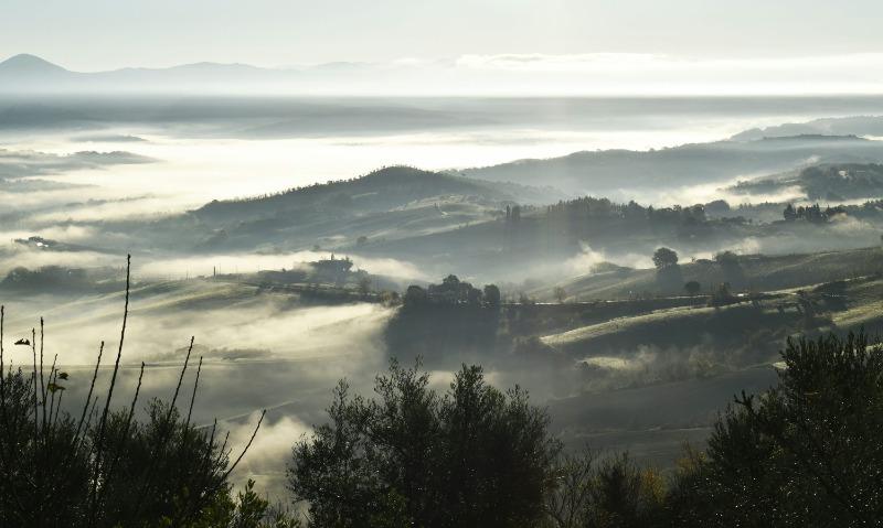 台灣政府投資鄉村地區線上英語課程的5大關鍵陷阱｜為何成效總是不如預期？ (5)