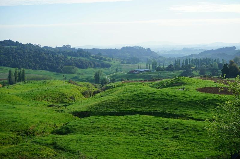 台灣政府投資鄉村地區線上英語課程的5大關鍵陷阱｜為何成效總是不如預期？ (2)